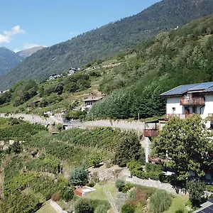 Wine Retici Balzi Poggiridenti